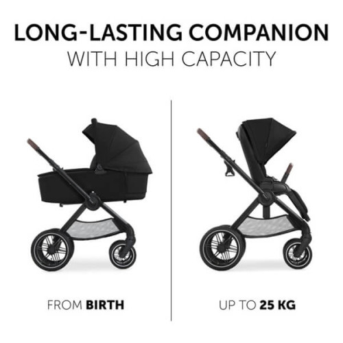 Универсальная коляска 2 в 1 Hauck Walk N Care Air Black